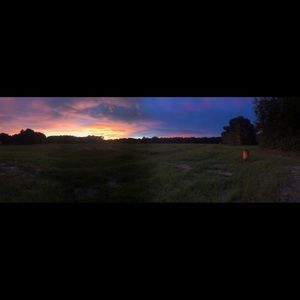 Meet your Posher, Isabella